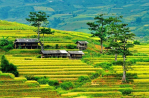 Du Lịch Hà Nội - Bản Hua Tạt - Mộc Châu